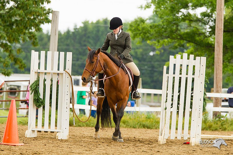 4H-FUN-060813-0973.jpg