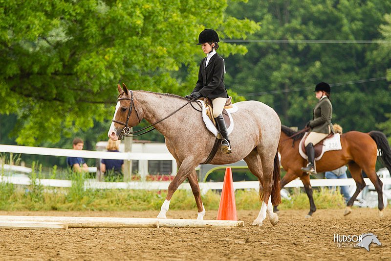 4H-FUN-060813-0977.jpg