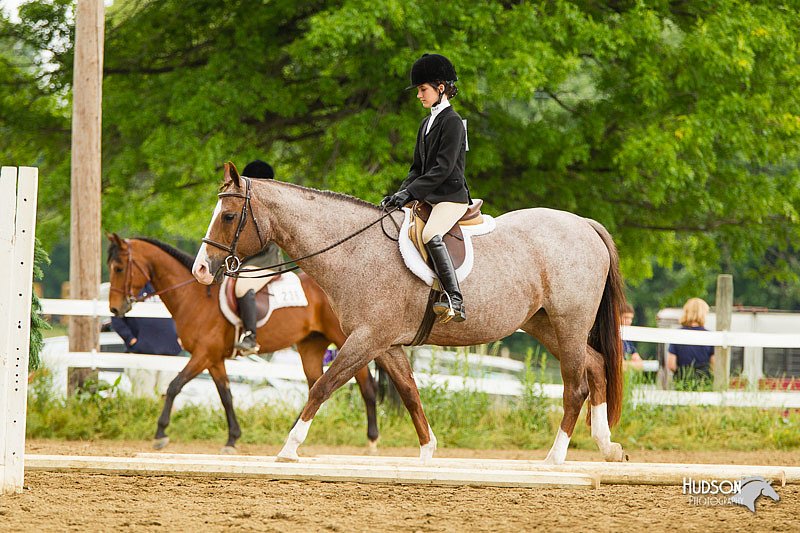 4H-FUN-060813-0979.jpg