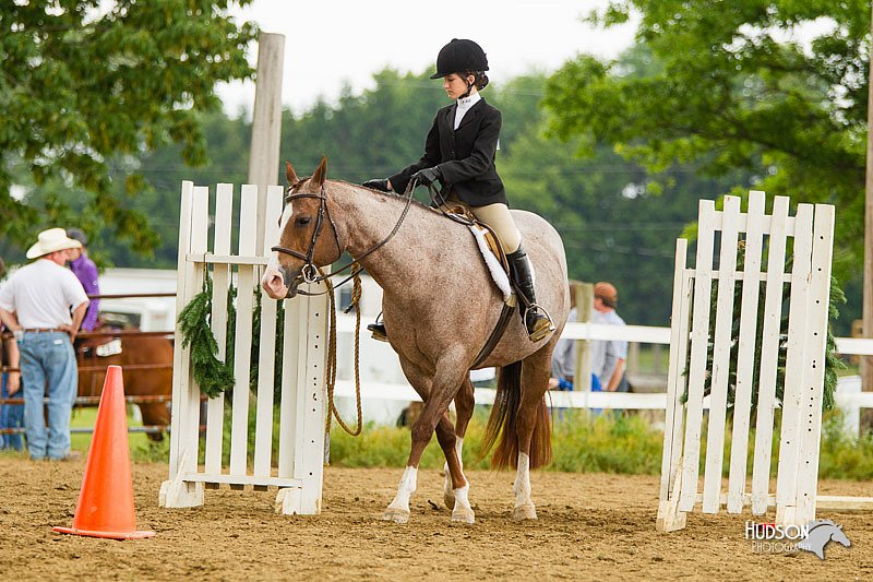 4H-FUN-060813-0981.jpg