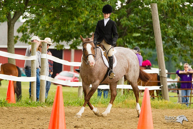 4H-FUN-060813-0982.jpg