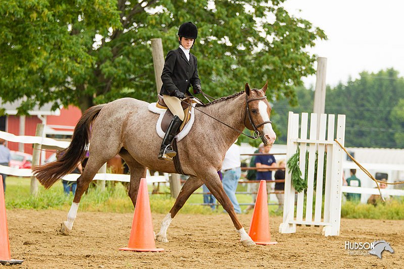 4H-FUN-060813-0983.jpg