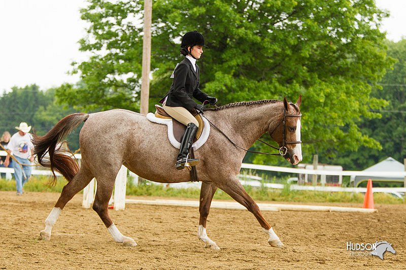 4H-FUN-060813-0984.jpg
