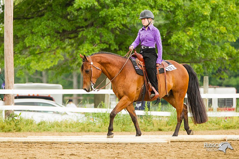 4H-FUN-060813-0987.jpg