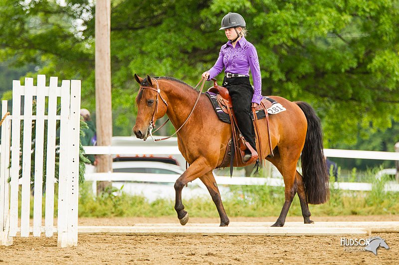 4H-FUN-060813-0988.jpg