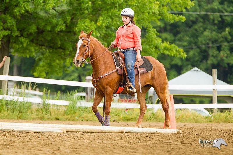 4H-FUN-060813-0993.jpg