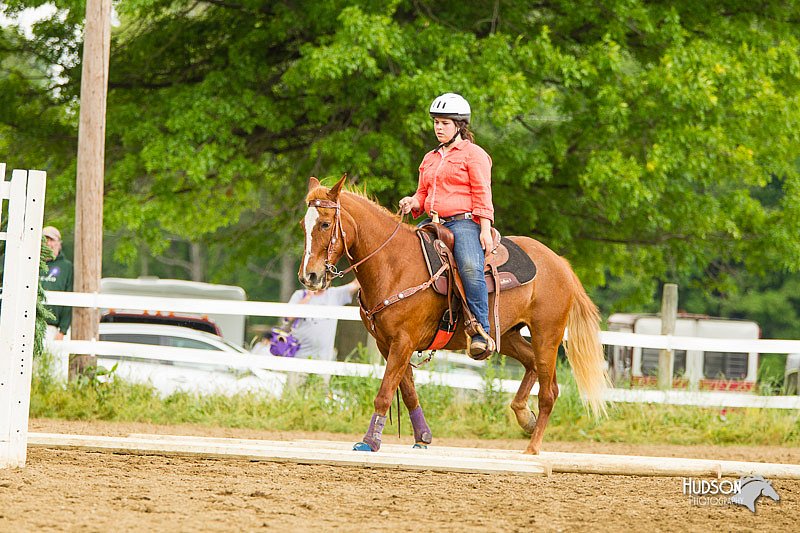 4H-FUN-060813-0994.jpg
