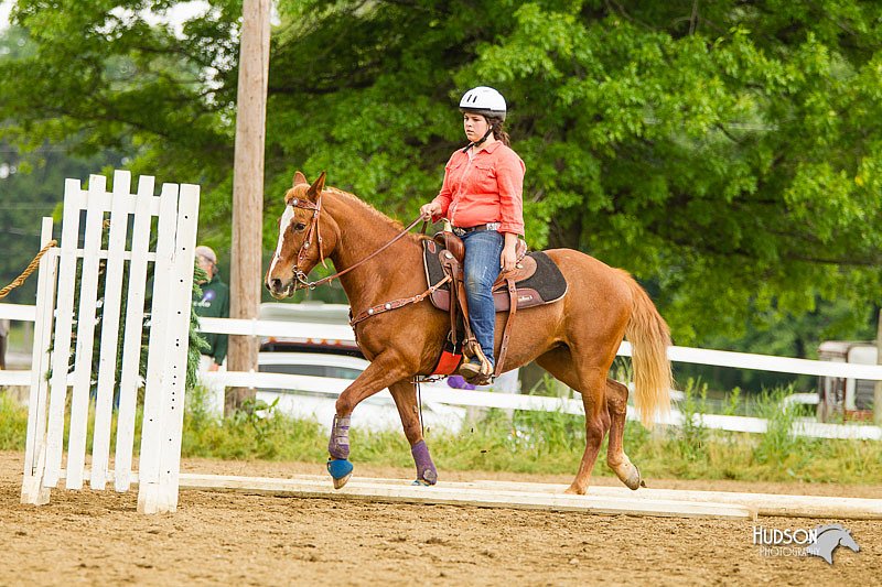 4H-FUN-060813-0995.jpg