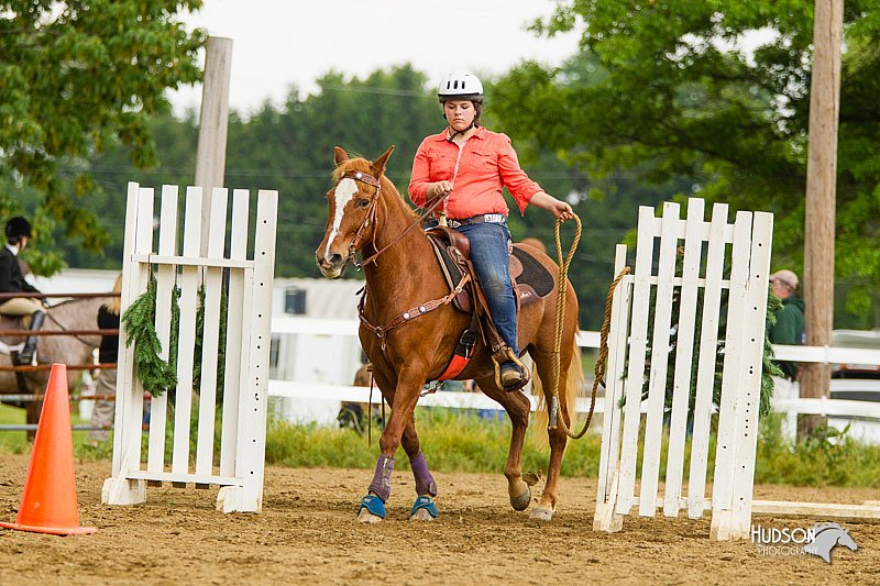 4H-FUN-060813-0997.jpg