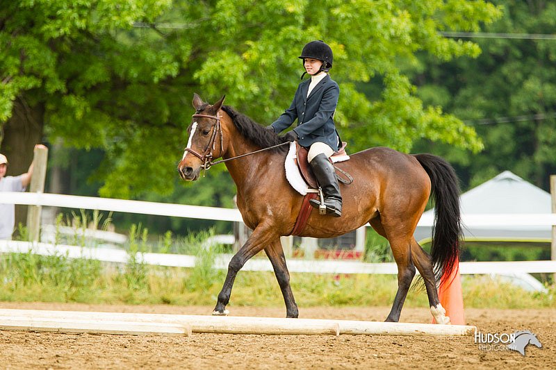 4H-FUN-060813-0999.jpg