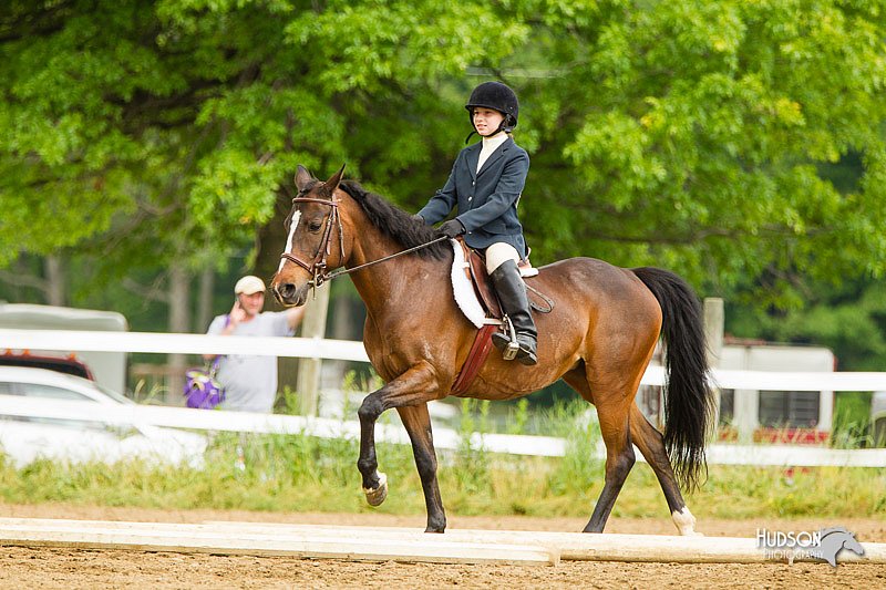 4H-FUN-060813-1000.jpg