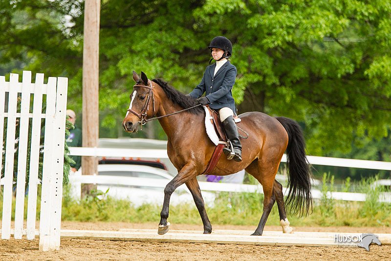 4H-FUN-060813-1001.jpg
