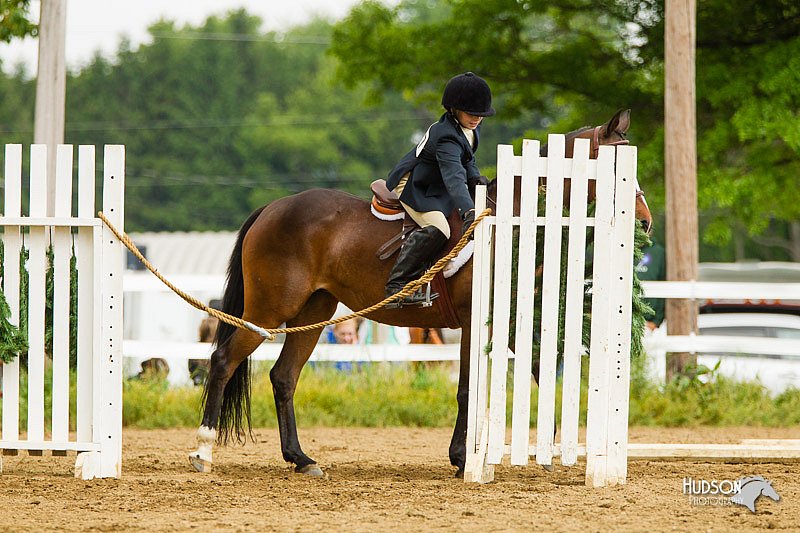 4H-FUN-060813-1002.jpg