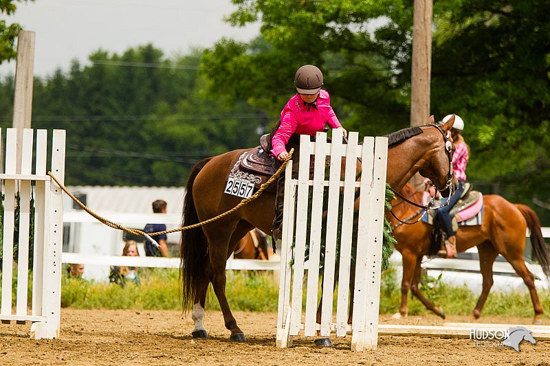 4H-FUN-060813-1020.jpg