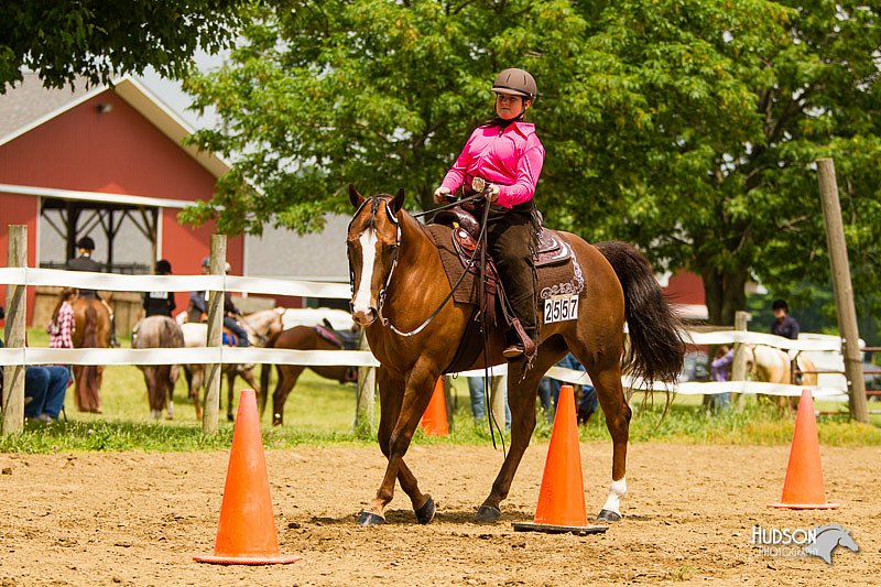 4H-FUN-060813-1022.jpg