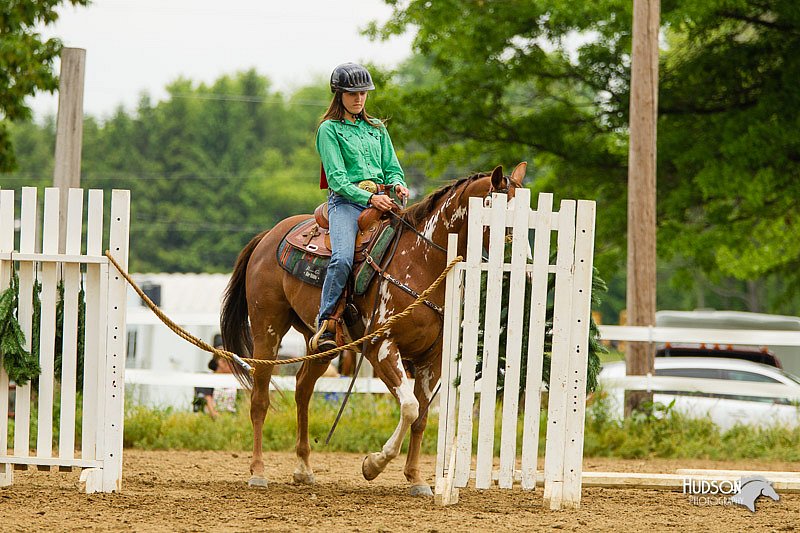 4H-FUN-060813-1024.jpg