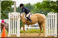 4H-FUN-060813-0939.jpg