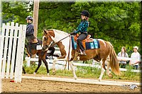 4H-FUN-060813-0960.jpg