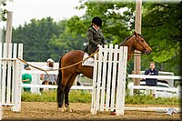 4H-FUN-060813-0971.jpg