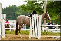 4H-FUN-060813-0980.jpg