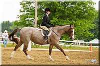 4H-FUN-060813-0984.jpg