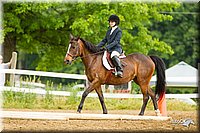 4H-FUN-060813-0999.jpg