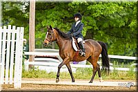 4H-FUN-060813-1001.jpg