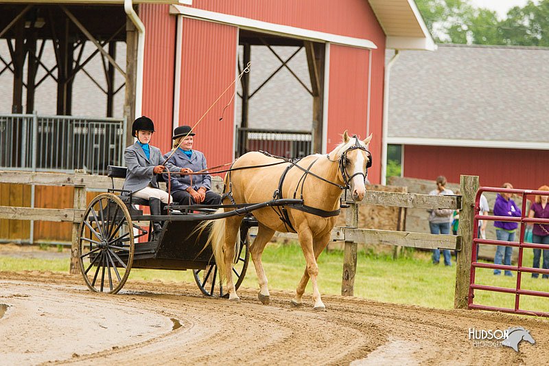 4H-FUN-060813-0483.jpg
