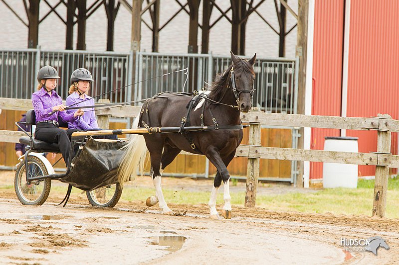 4H-FUN-060813-0487.jpg