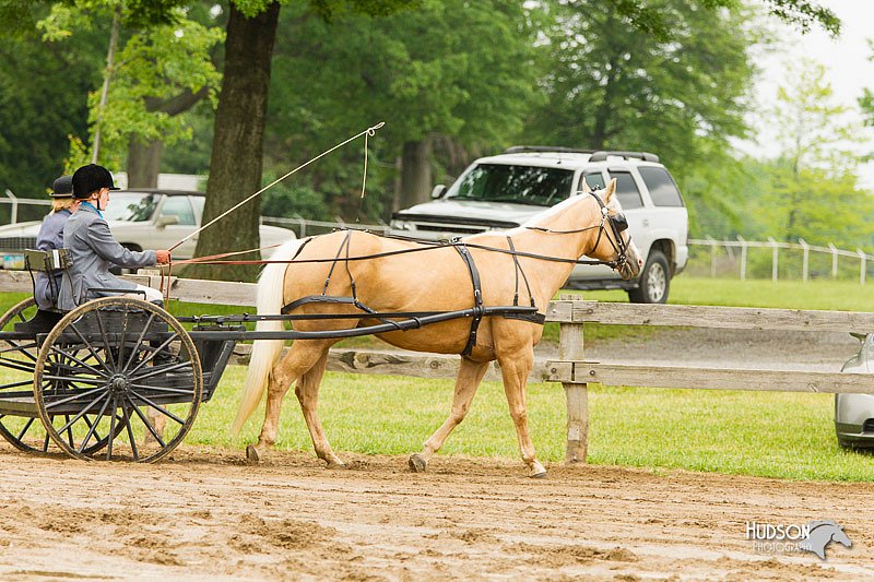 4H-FUN-060813-0490.jpg