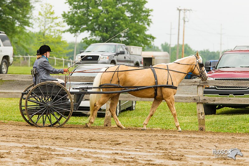 4H-FUN-060813-0491.jpg