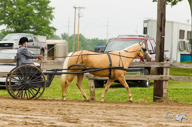 4H-FUN-060813-0492.jpg