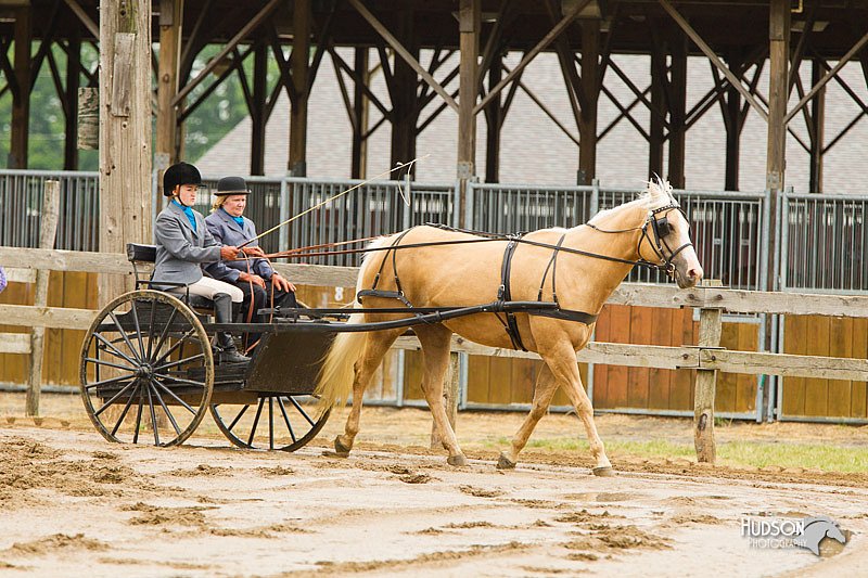 4H-FUN-060813-0498.jpg