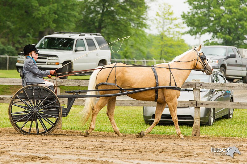 4H-FUN-060813-0504.jpg