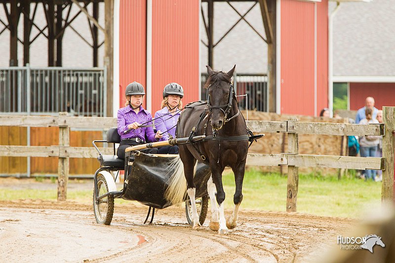 4H-FUN-060813-0508.jpg