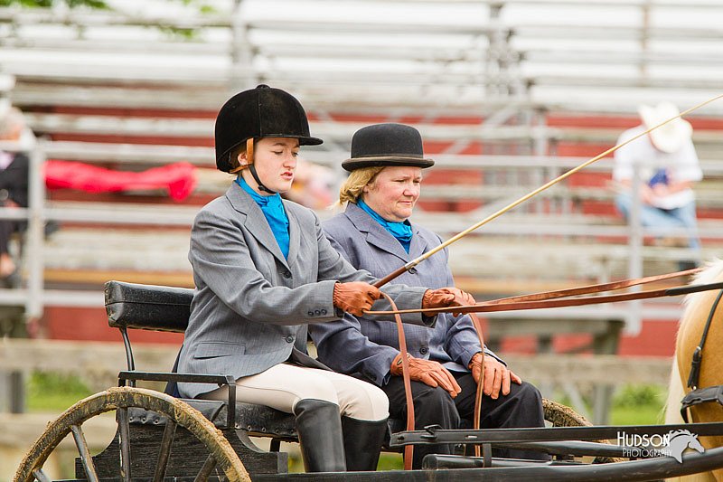 4H-FUN-060813-0514.jpg