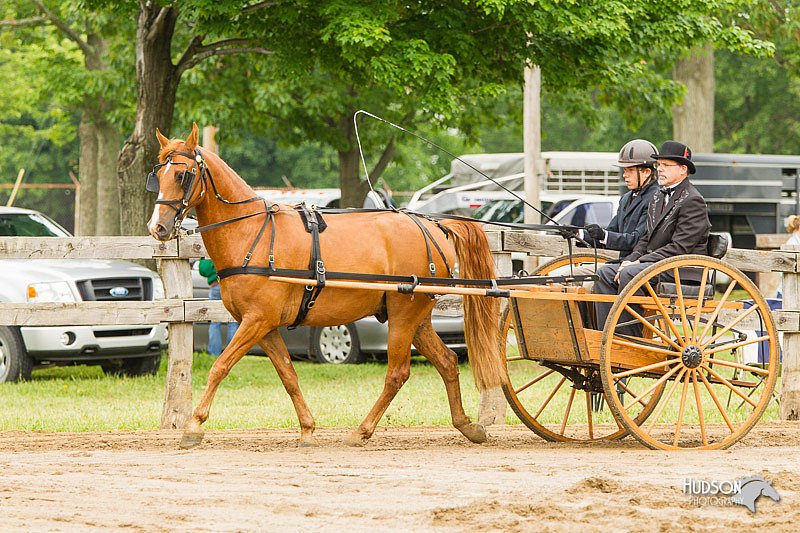 4H-FUN-060813-0520.jpg