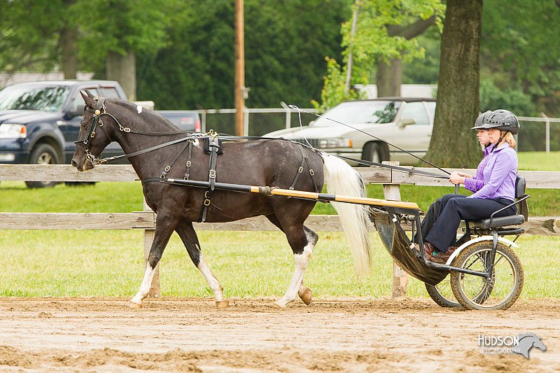 4H-FUN-060813-0521.jpg