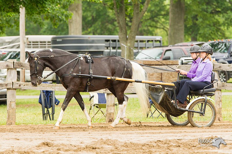 4H-FUN-060813-0522.jpg
