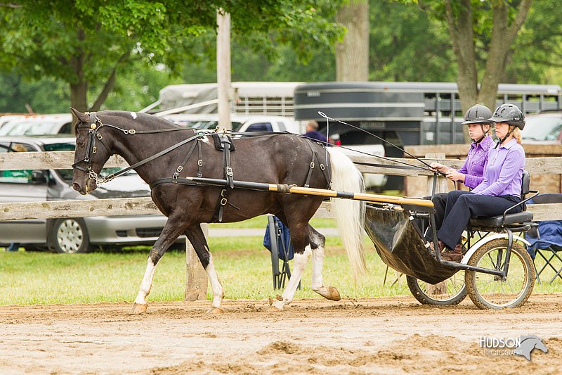 4H-FUN-060813-0523.jpg