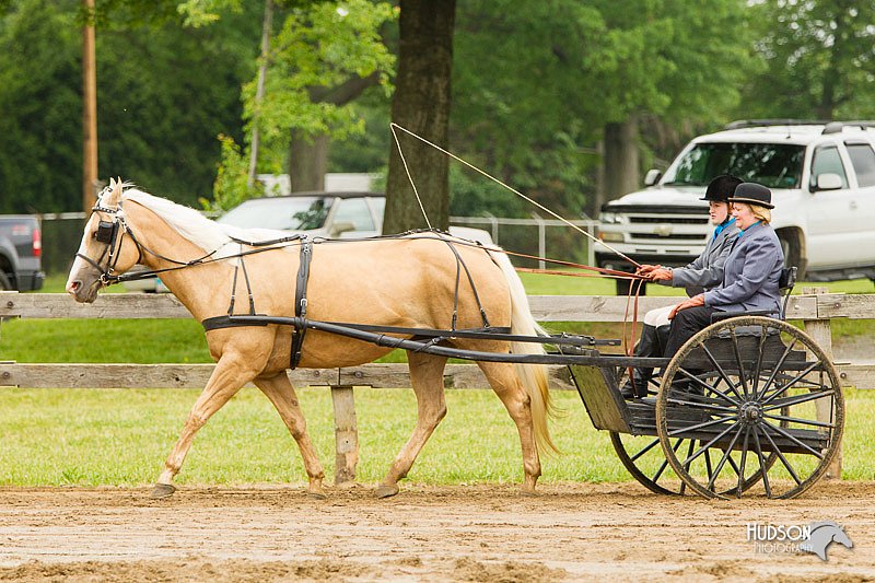 4H-FUN-060813-0524.jpg