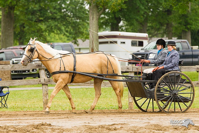 4H-FUN-060813-0526.jpg