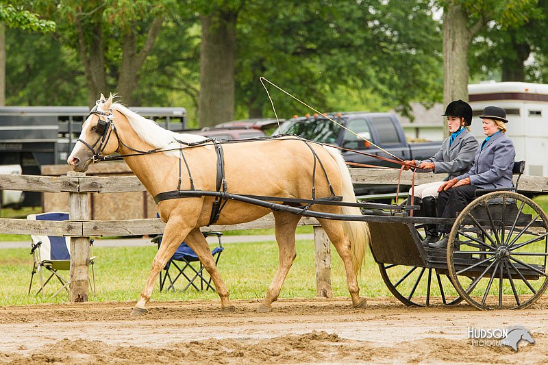 4H-FUN-060813-0527.jpg