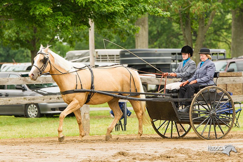 4H-FUN-060813-0528.jpg