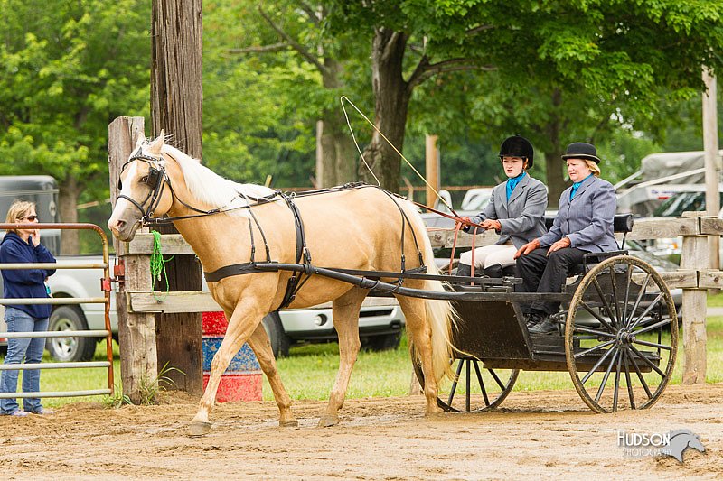 4H-FUN-060813-0529.jpg