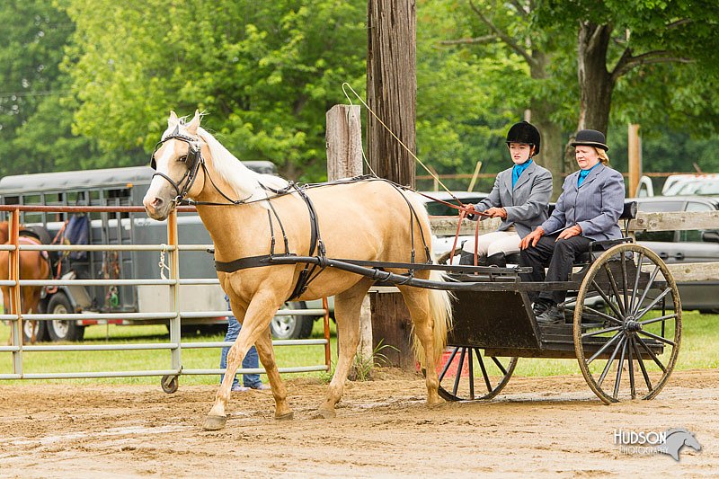 4H-FUN-060813-0530.jpg