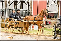 4H-FUN-060813-0484.jpg