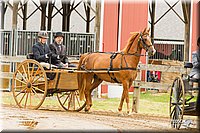 4H-FUN-060813-0485.jpg