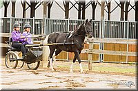 4H-FUN-060813-0486.jpg
