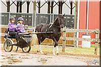 4H-FUN-060813-0487.jpg